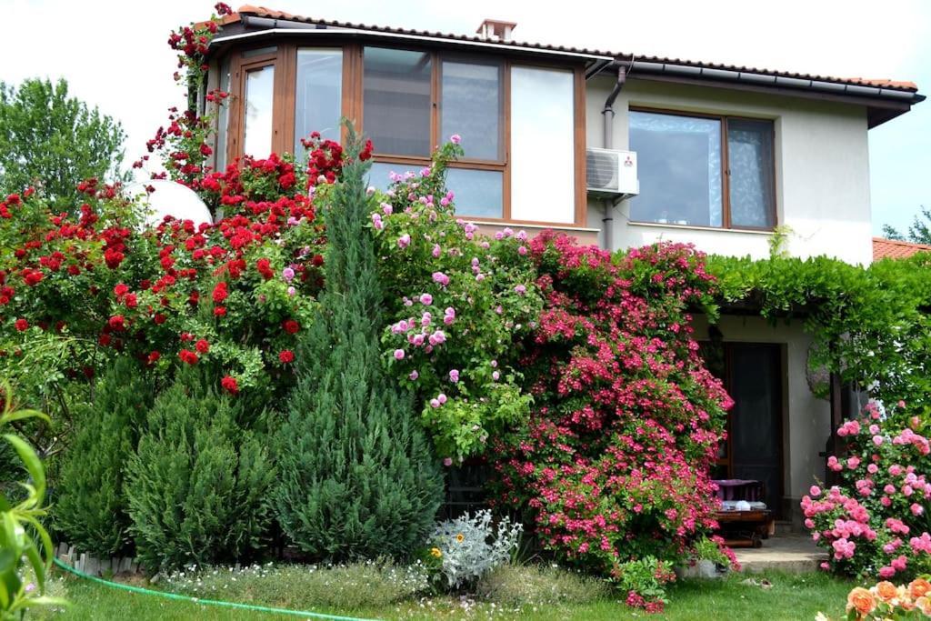 Sea & Garden Villa Varna Exterior photo