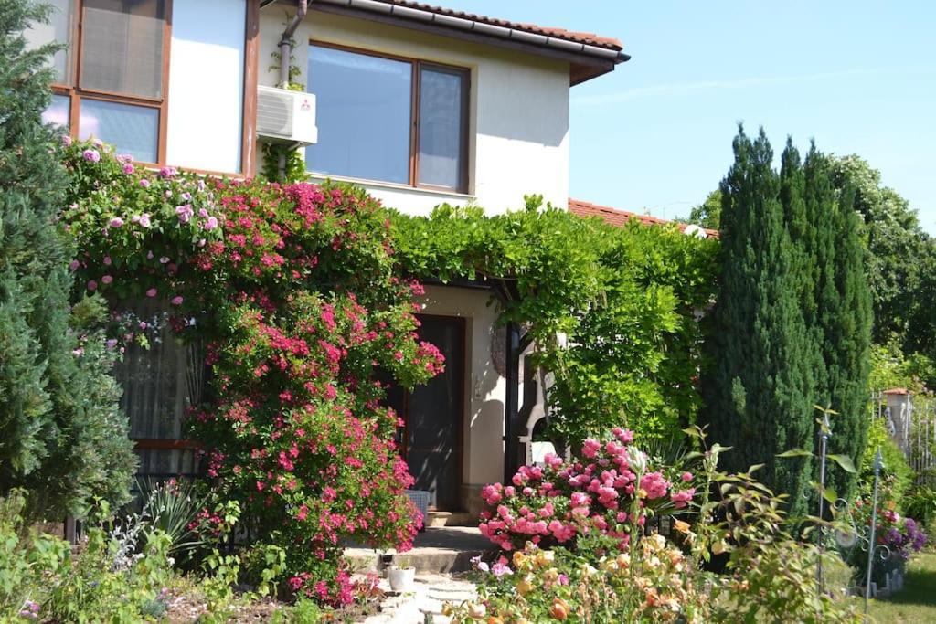 Sea & Garden Villa Varna Exterior photo